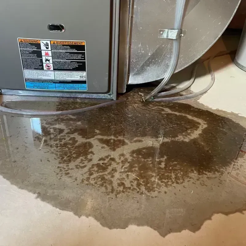 Appliance Leak Cleanup in Oak Park, IL